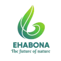 My Website